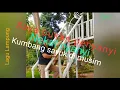 Download Lagu Kumbang Sayuk di Musim. Cipt. Nurdin Darsan