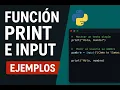 7 How to Use print and input in Python Easy Examples for Beginners