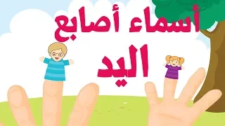 أغنية تعليم اللغة العربية للأطفال أسماء الأصابع Famille Des Doigts Arabe Arab Finger Family Song 