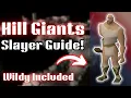 OSRS Hill Giants for Noobs - How to Find Slay These Dummies