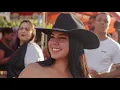 Download Lagu Piseiro do TikTok 2025 - As Mais Tocadas Janeiro 2025 (Piseiro, Forró e Vaquejada)