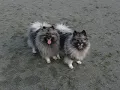 K and L at the school yard