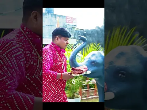 Dware Chalo Sherawali De, Mata Rani Bhajan | Avinash Johar #navratri #jaimatadi #matarani #durgamaa