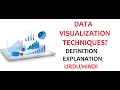 What Is Data Visualization Techniques Examples Importance