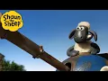 Shaun the driver🐑 Shaun the Sheep 🐑  - Cartoons for Kids 🐑 Full Episodes Compilation [1 hour]