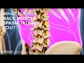 What Is Your Back Muscle Spasm Telling You