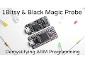 1Bitsy BMPM Kickstarter