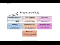 Biology I Final Exam Review Chapter 1 in 15 minutes