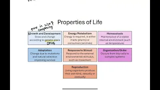Biology I Final Exam Review Chapter 1 in 15 minutes