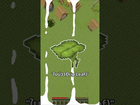 มายคราฟแต่.. ว่าทั้งโลกผมมีแต่บัวใบDrip Leaf 11 น้ำอะไร!? #Shorts