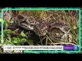 Countdown is on for 2023 Florida Python Challenge