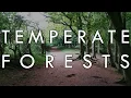 The Temperate Forest Biome - Biomes