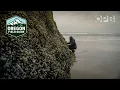 Learn to harvest food from the wild Oregon Coast Oregon Field Guide