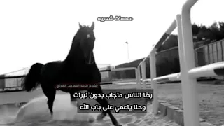 وبيعا لما تشرفنا و بالناقص من الخون خاينين كلكم خاينين لا تسوي زي المسكين دندنها