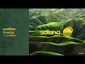 Lagu myni8hte - Soaring (Li-ion Remix) [Soluna Music]