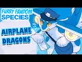AIRPLANE DRAGONS - Furry Fandom Species