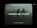arctic monkeys • I wanna be yours | myanmarsub+lyrics