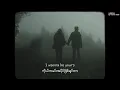 Download Lagu arctic monkeys • I wanna be yours | myanmarsub+lyrics