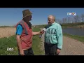 Download Lagu Ștrengarul din turbărie