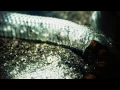 KATAKLYSM - Thy Serpent's Tongue (OFFICIAL VIDEO)