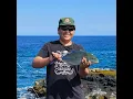Download Lagu Fishing With Nathaniel