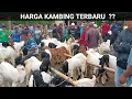 Lagu 2.1 Juta 3 Ekor !! Update Harga Kambing Hari Ini Pasar Kliwon Trenggalek Jatim @dadungkeluh9817 