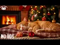 Lagu Healing Music For Cats 😻 Relaxing Sounds and Cozy Fireplace Ambience For Stress Relief \u0026 Deep Sleep