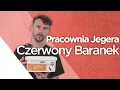 💡Pracownia Jegera - Znany dobrze efekt do ścian Jeger Baranek w nietypowym wydaniu - DIY