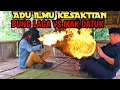 Download Lagu 🔴🔴🔴BANG REY LAMPUNG TERKINI‼️Satu persatu Giliran mak Datuk Di Ajak Bung laga Bergabung
