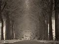 Sigur Ros   *All Alright*
