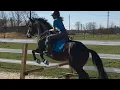 Believer by Imagine Dragons Oakley and I jumping Only Oakley