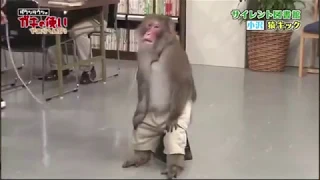 KUUUZEEEEE  KUUUZEEEEE