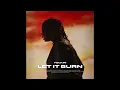[FREE] Rema Type Beat 2025 "LET IT BURN" 90's R&B x Afrobeat Instrumental 2025