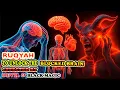 Download Lagu Destroying Sihr, Evil Eye, \u0026 Guna Guna | Ruqyah Therapy for Body \u0026 Soul