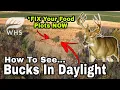 How To Create Daylight Use Food Plots