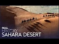 Download Lagu Sahara: The Largest Desert On Earth | Journeys To The Ends Of The Earth | Real History