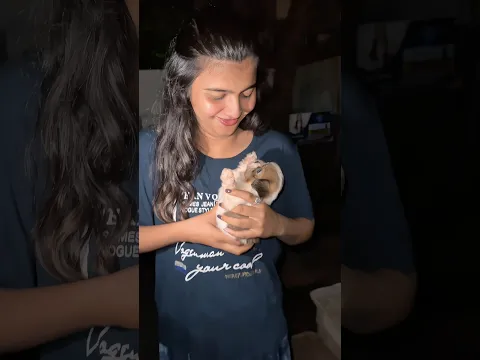 Birthday gift 🎁❤️// #birthday #trending #viralvideo #gift #shortvideo #dogs #Siju  #birthdayvlog