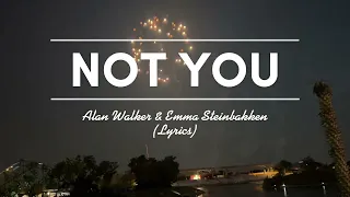alan walker ft emma steinbakken not you lyrics 15 minutes