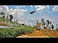 Download Lagu KEINDAHAN JALAN DI PEDESAAN DENGAN SUASANA SEJUK DAN BIKIN BETAH