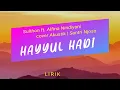 Download Lagu HAYYUL HADI - Sulthon ft. Alfina Nindiyani cover Akustik | Santri Njoso Lirik