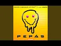 Download Lagu Pepas Funk (Cover)