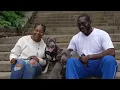 The Rescue Effect 2026 - 2 million to Help Waive Fees