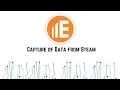 Capturing and Reviewing Steam Data in E3