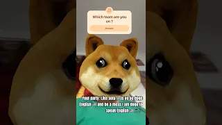 Animation Rapbattle Doge The Dog Meme VS Hello Kitty ANIMEME 