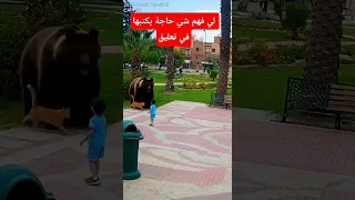 طفل مغربي كيلعب فالحضيقة وهاشنو وقع كاميرا مراقبة فيديو مغربي ترند 2025 Veo3 Viral  طفل مغربي كيلعب فالحضيقة وهاشنو وقع كاميرا مراقبة فيديو مغربي ترند 2025 Veo3 Viral