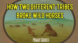 How Native Americans Broke Wild Horses Tribes