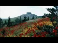 Sabah Fakhri - Fog Elna Khal/El-Bulbul (Iraqi & Syrian Arabic) w/ Translation صباح فخري فوق النا خل