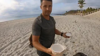 How to Open a Coconut – Wandersailing