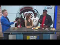 Vic s Barbecue opens in Indy at The Amp