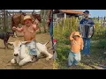 Download Lagu PILILIU NA LIDA COM O GADO NELORE AO SOM DE EDYR VAQUEIRO 🔥 | PILILIU DA RESENHA